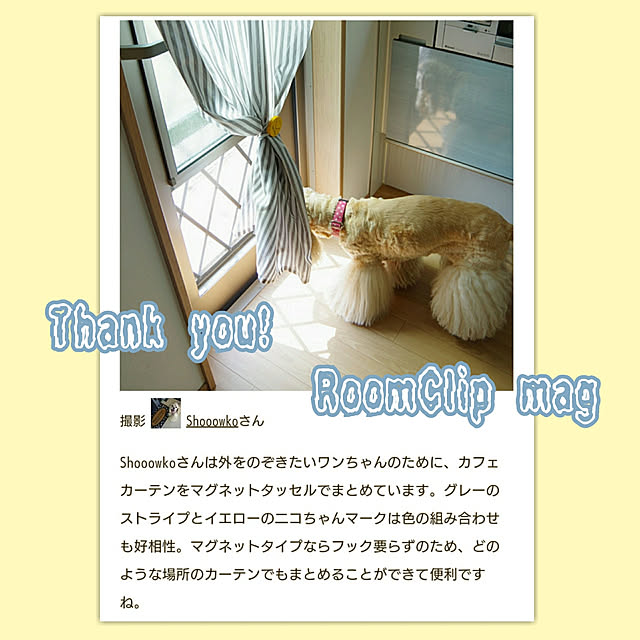 Shooowkoさんの実例写真