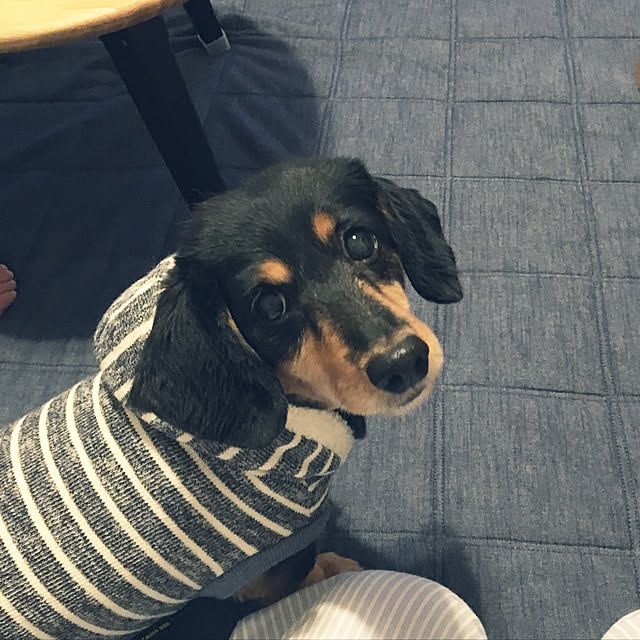 ohanaさんの実例写真