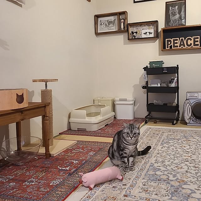lovepeaceさんの実例写真