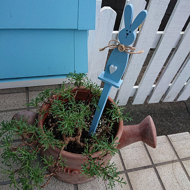 Ohigeさんの実例写真