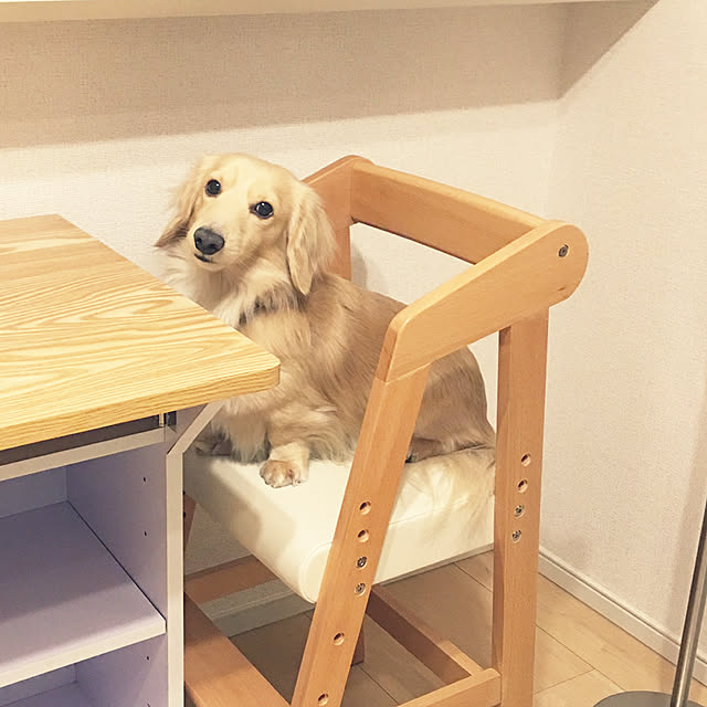 Rabitterさんの実例写真
