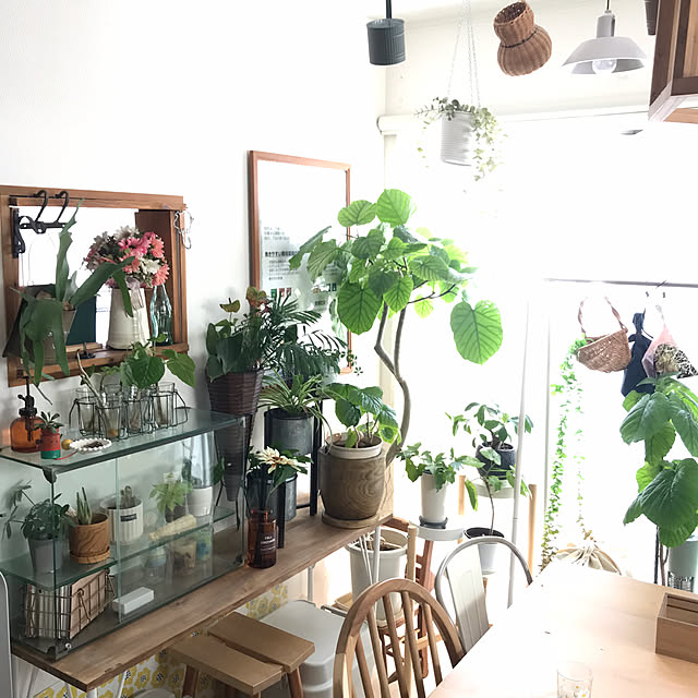 hirariさんの部屋