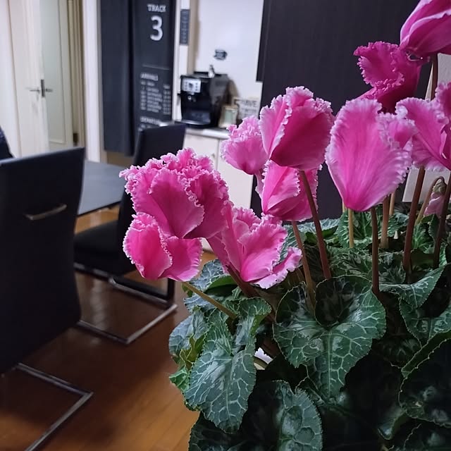 NOAHさんの部屋