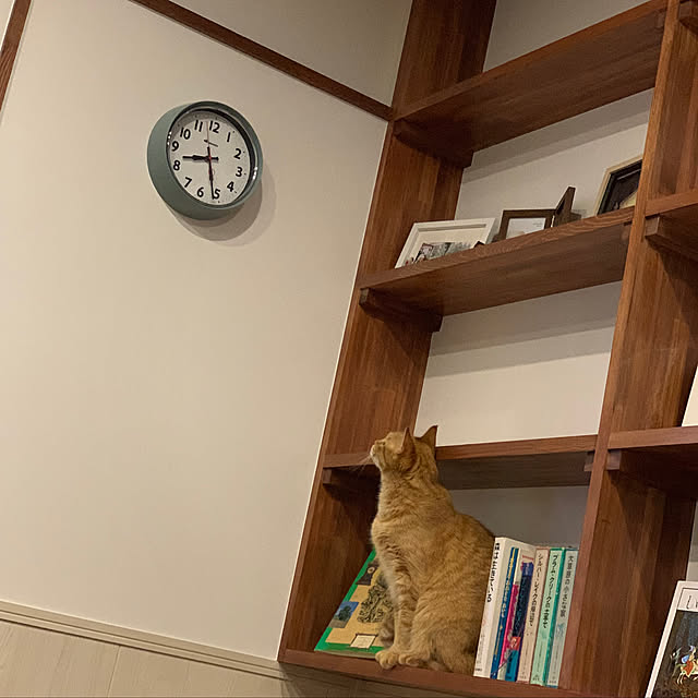mikeume7さんの実例写真