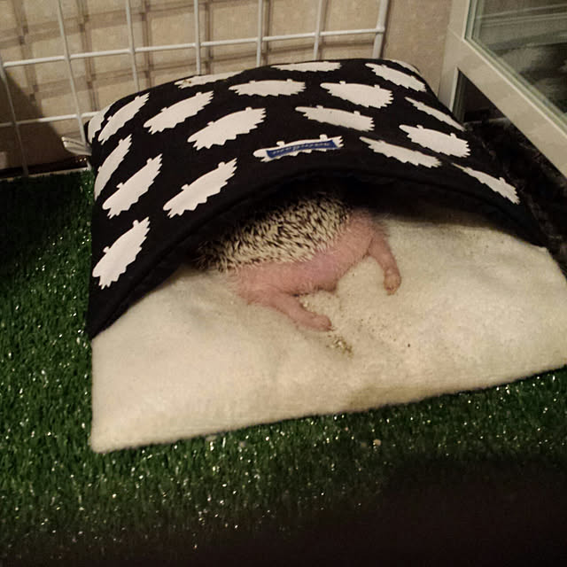 MINIさんの実例写真