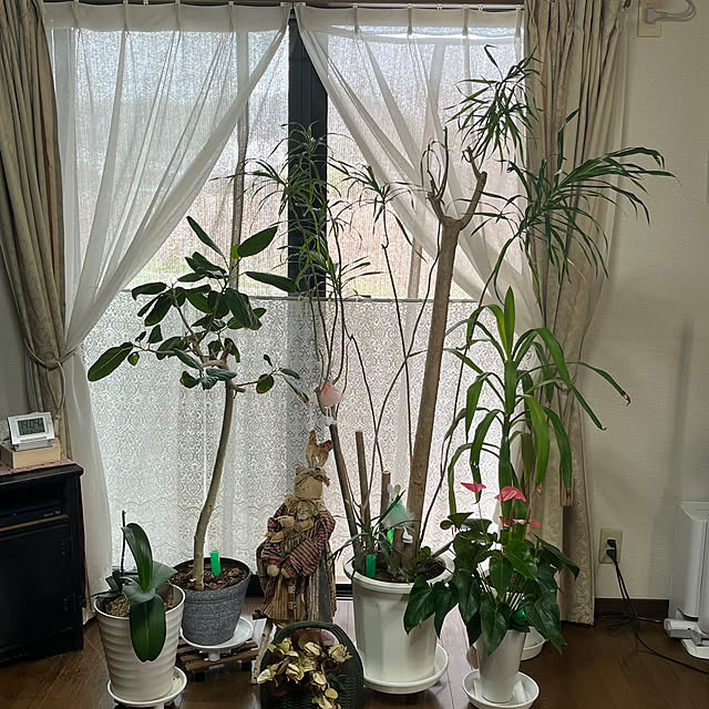 ritsukoさんの部屋