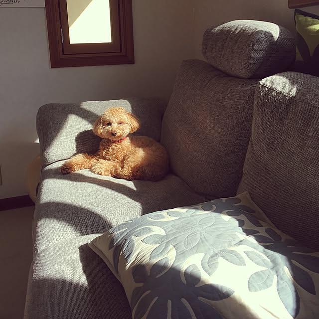 chaimomさんの実例写真