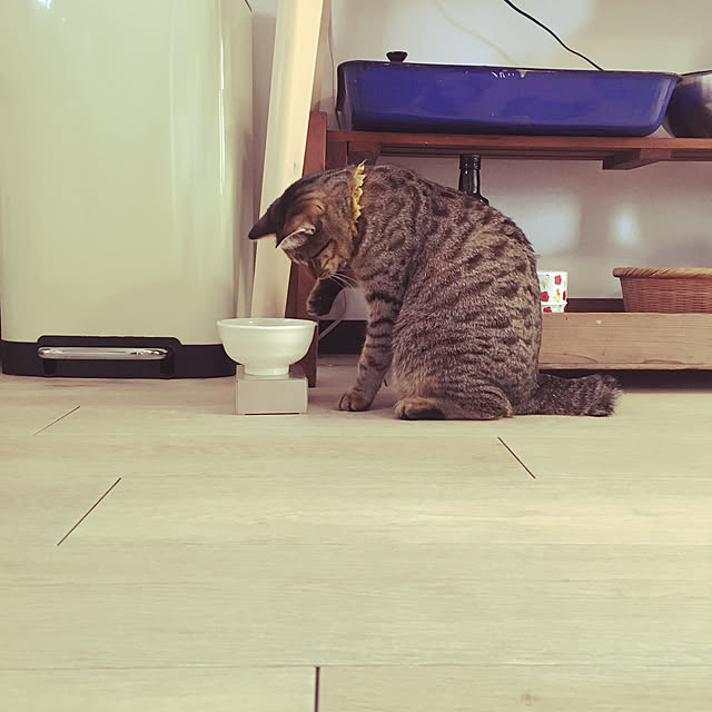 Mさんの実例写真