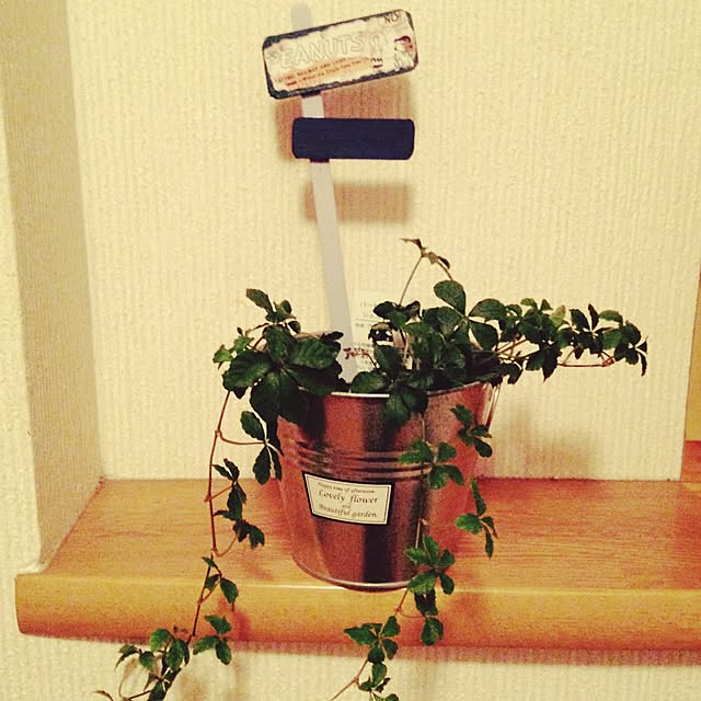 anzさんの実例写真