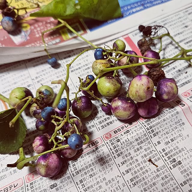 mocomocoさんの部屋