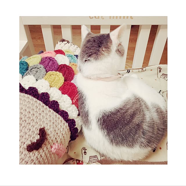 mintcatさんの実例写真