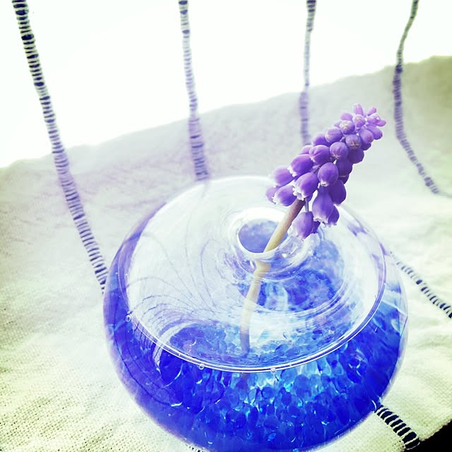 棚/観葉植物のインテリア実例 - 2016-03-26 00:04:38