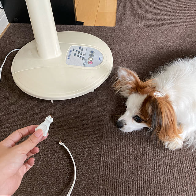 Kさんの実例写真