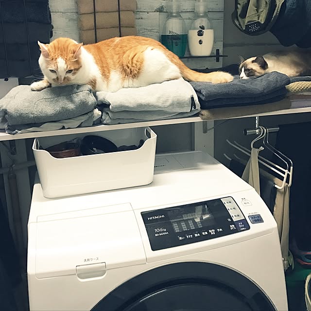 mashさんの実例写真