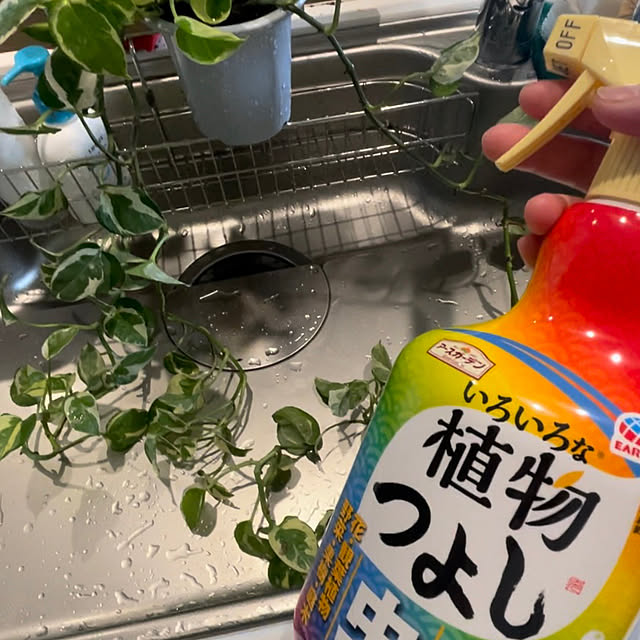 SIELUさんの実例写真