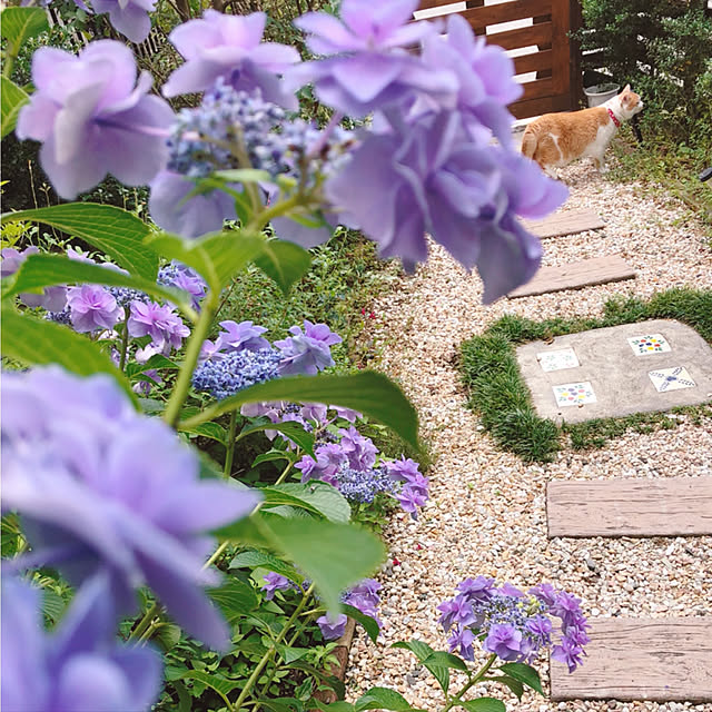 mintcatさんの実例写真