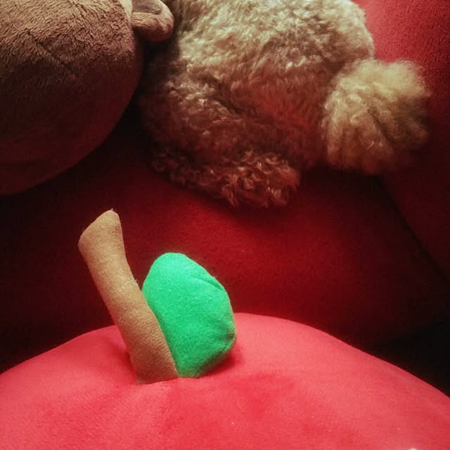 cherrycherryさんの実例写真