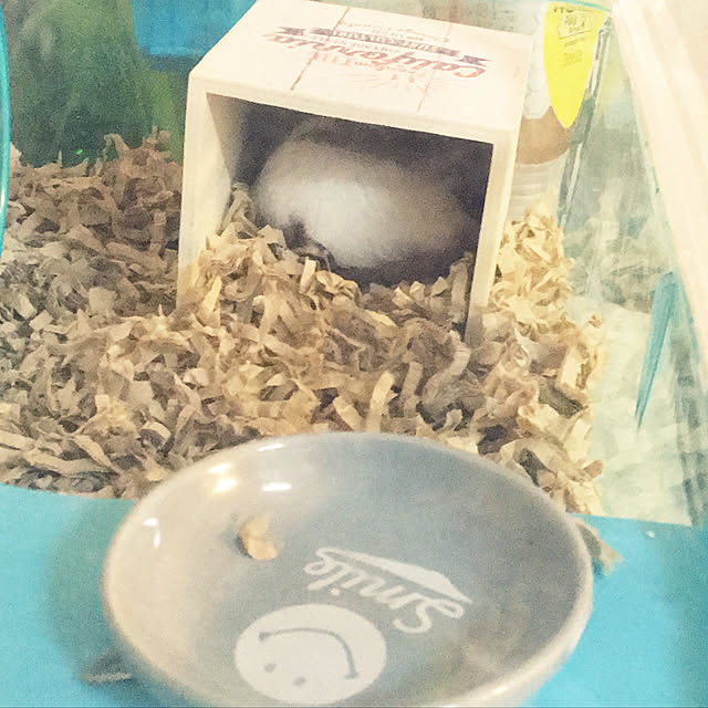 ohanaさんの実例写真
