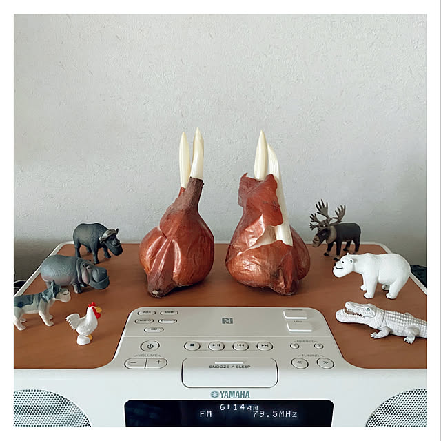 Maicoさんの実例写真