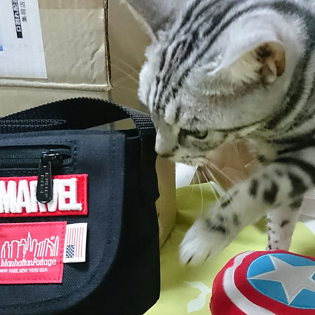 CatClipさんの実例写真