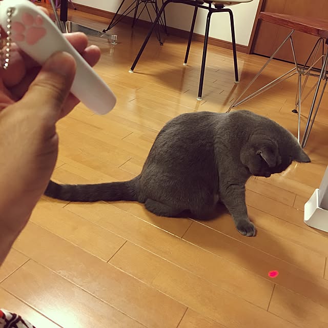 Shojiさんの実例写真