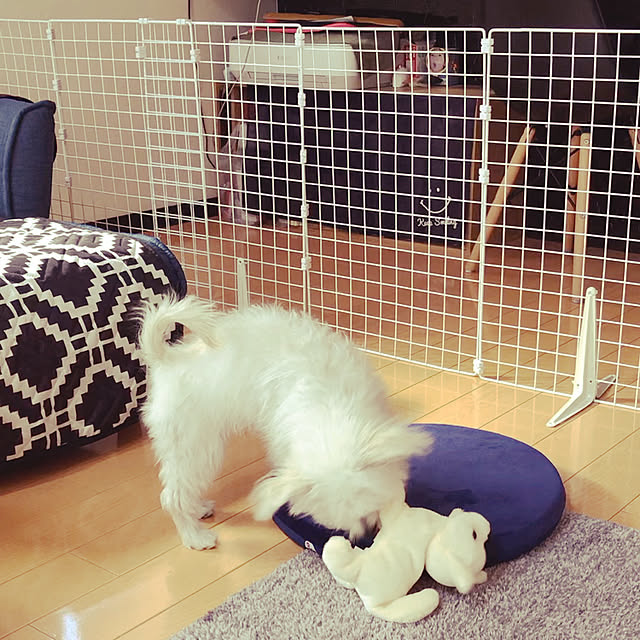 a-さんの実例写真