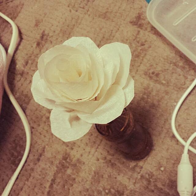 Naomiさんの実例写真