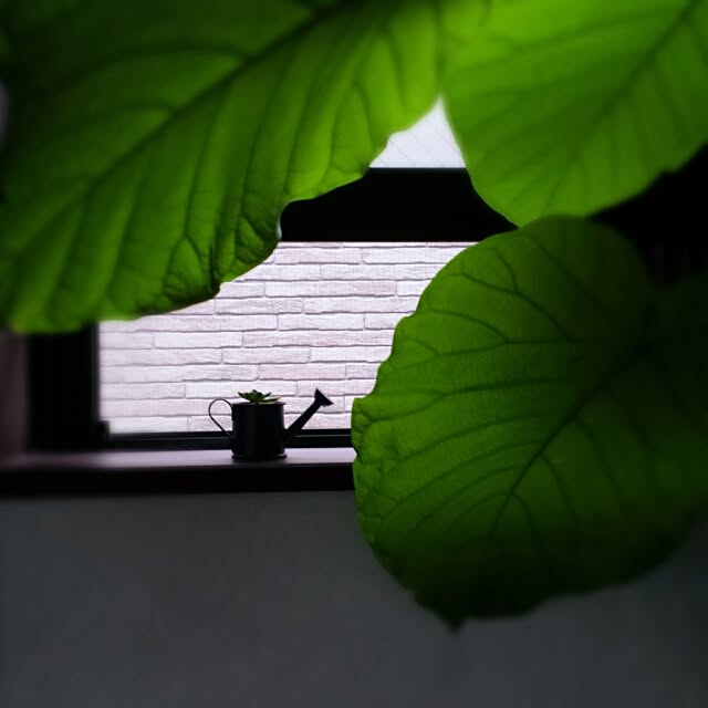 mamekoさんの実例写真