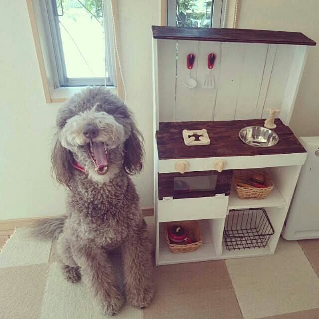 marohiroさんの実例写真