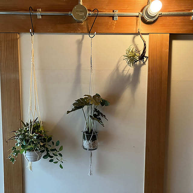 anne_sharlyさんの部屋