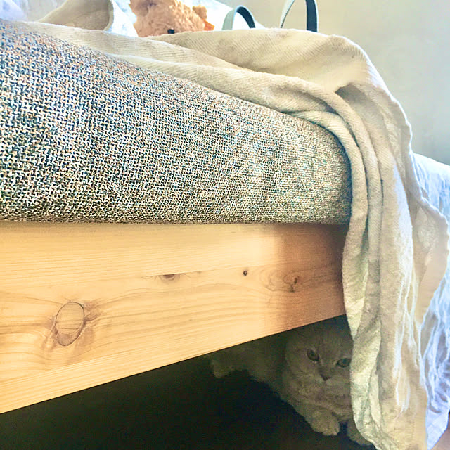 naokoさんの部屋