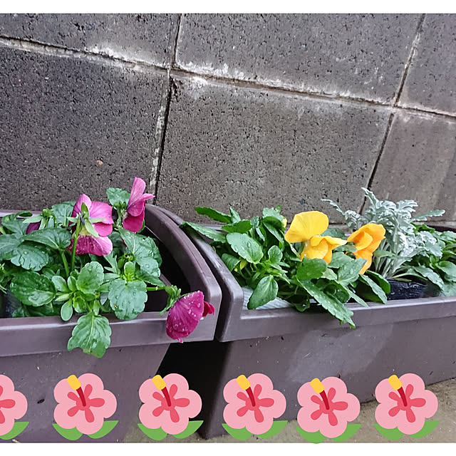 totoroさんの実例写真