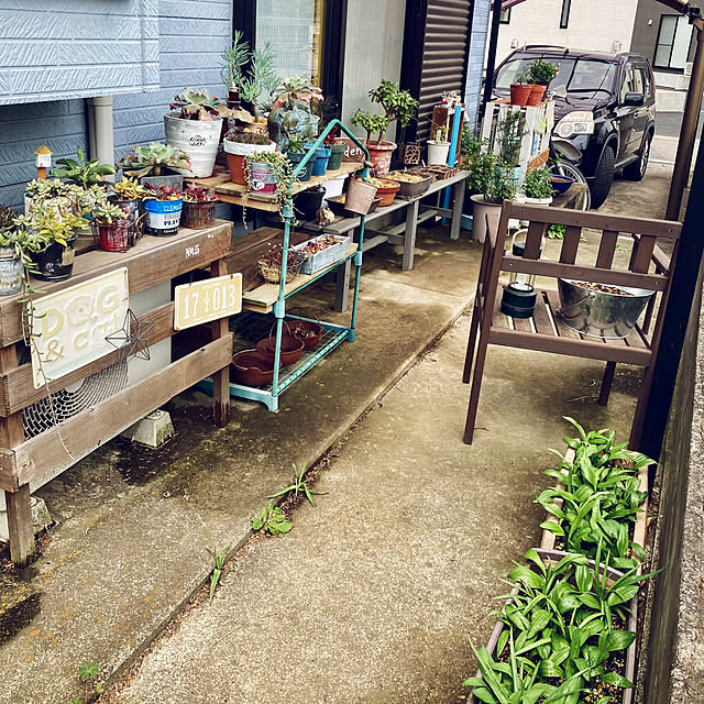 CoCo0617さんの部屋