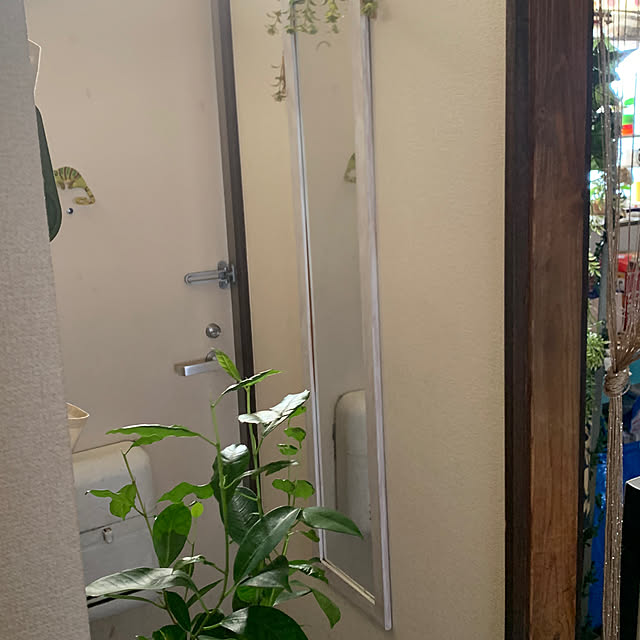 tamausagiさんの部屋