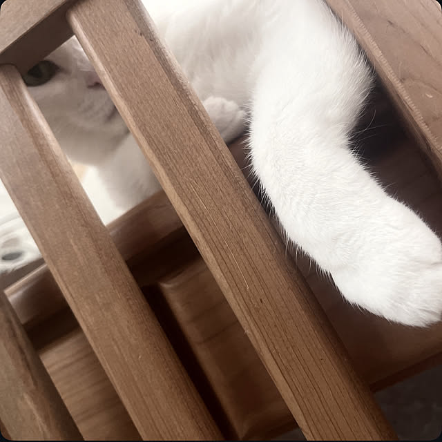 Ohigeさんの部屋