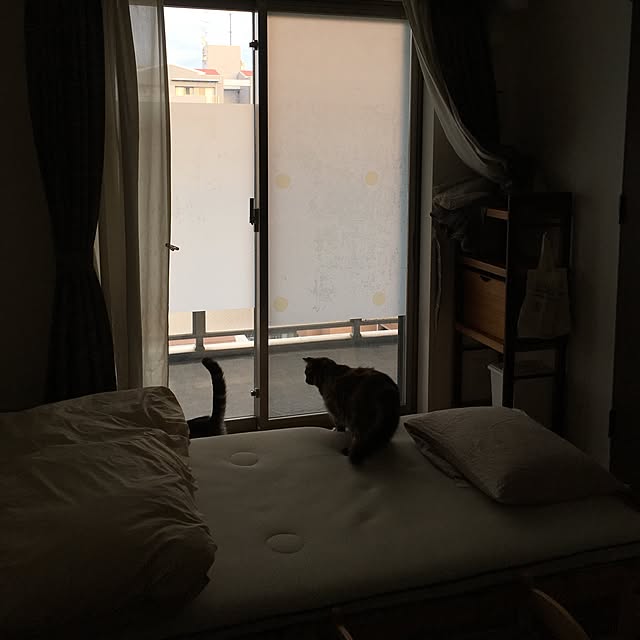 mikomaruさんの実例写真
