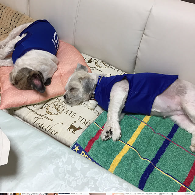 emiさんの実例写真