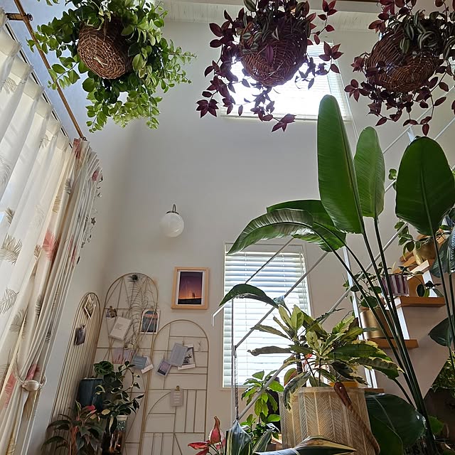 nonbiri_house_さんの部屋