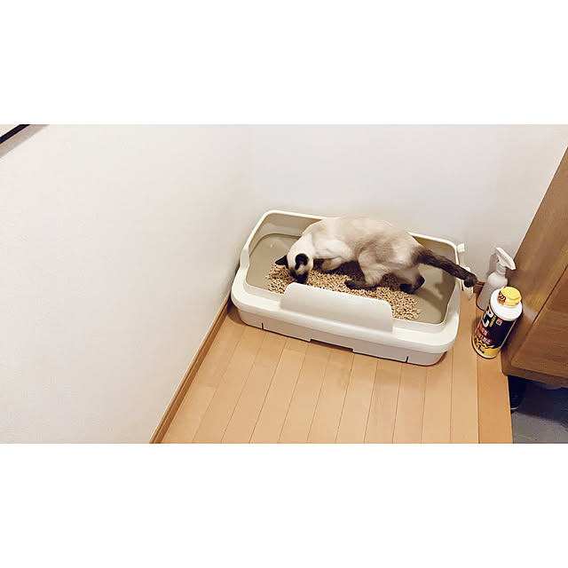 CSTLさんの実例写真