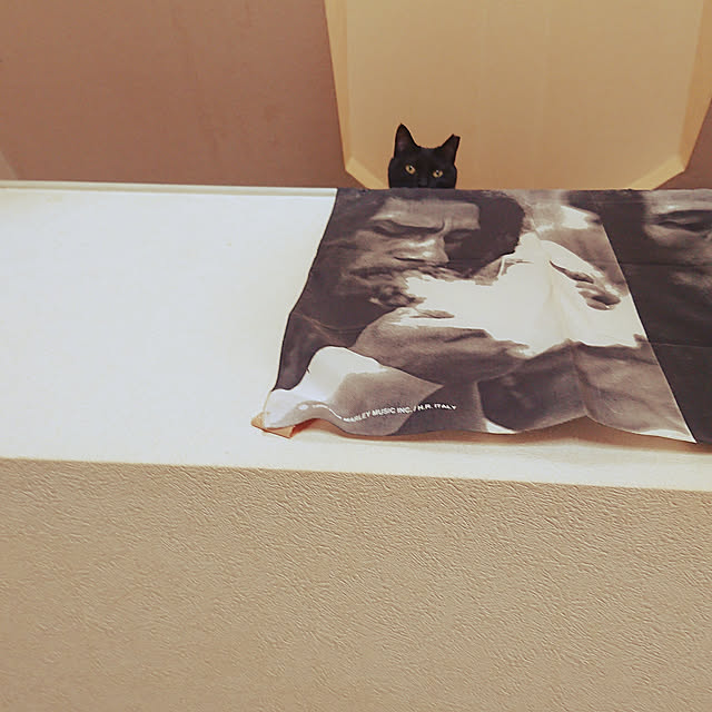 lotusさんの実例写真