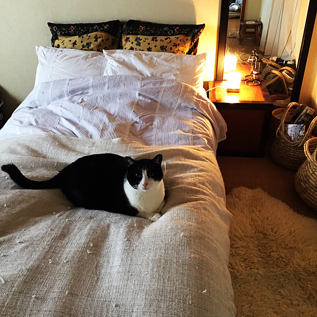 実例写真