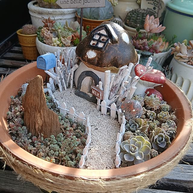 hodohodoさんの部屋