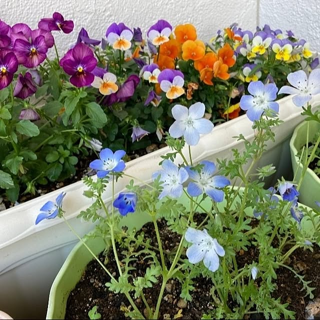 Hanaさんの実例写真