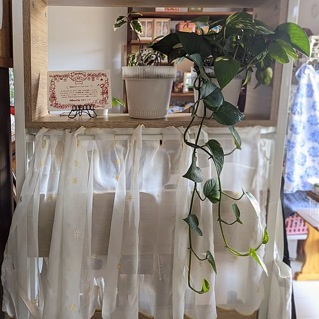mi-saさんの部屋
