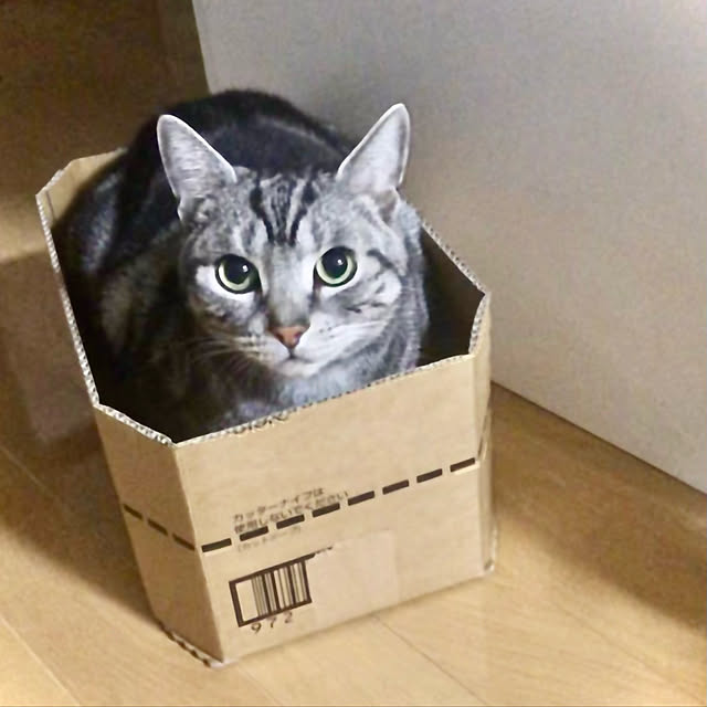 jokerdevil0709さんの実例写真