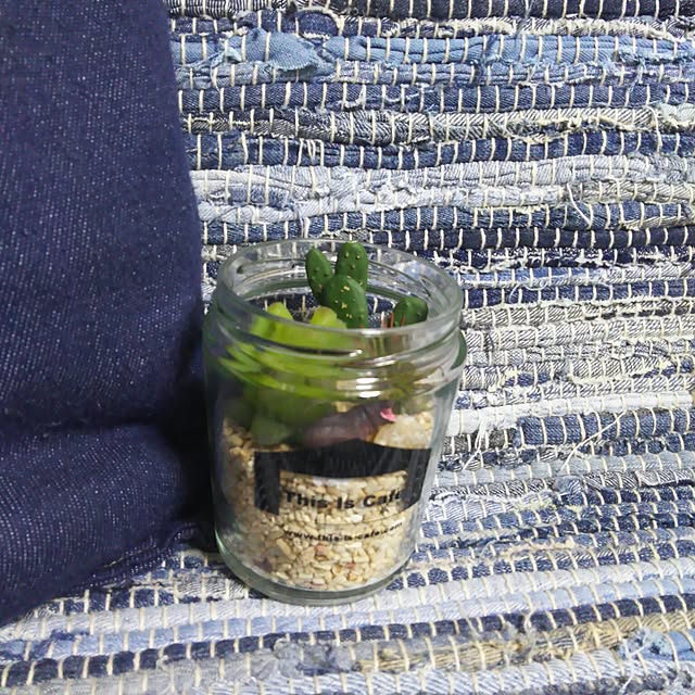 INDOORさんの実例写真
