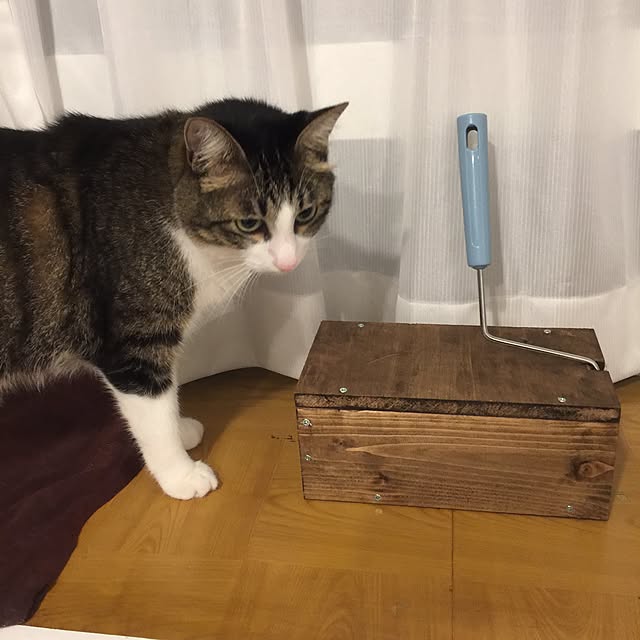 miruさんの実例写真