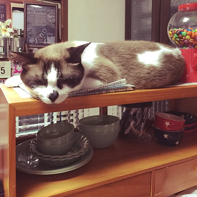 vivienne.coco-keiさんの実例写真