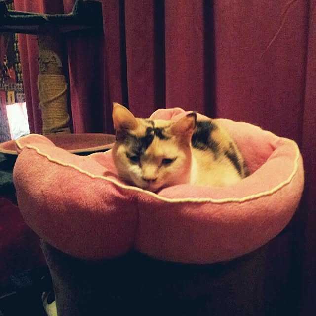 emmyyさんの実例写真