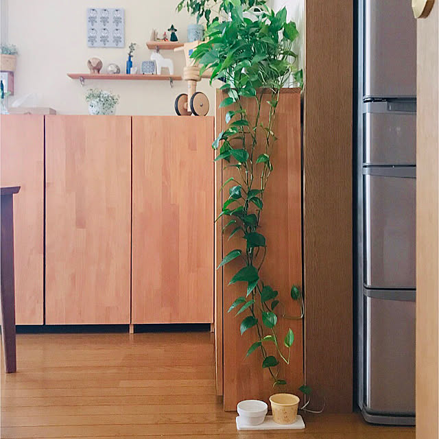 yukaさんの実例写真
